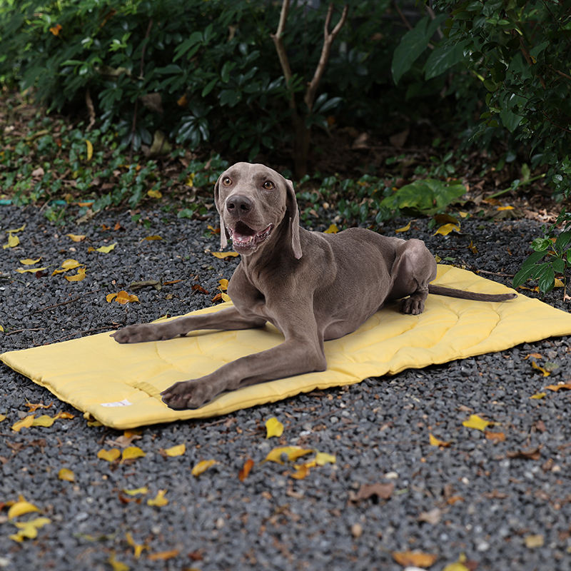 Portable Pet Mat Foldable Pet  - огляд і ціна Outdoor Camping Floor Mat