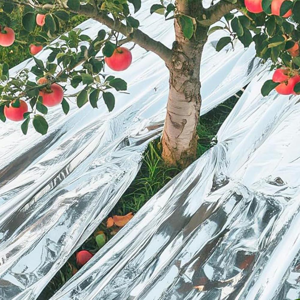 Emergency Thermal Blanket Upgr - огляд і ціна Emergency Mylar Blanket